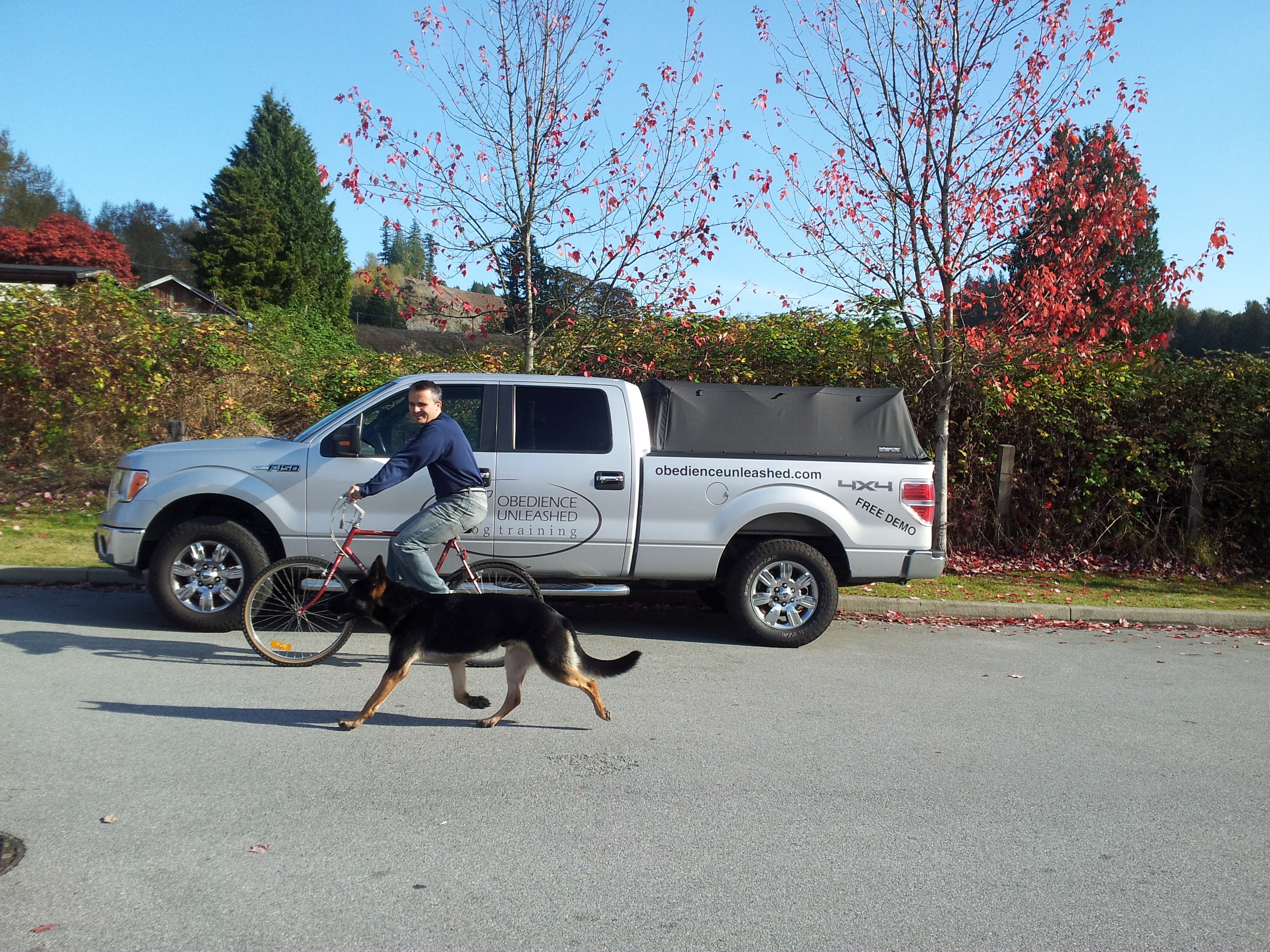 Biking with your dog?